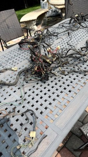 Harness1.jpg
