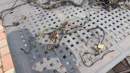 Harness3.jpg