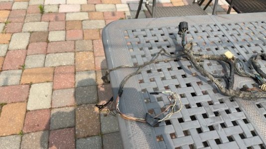 Harness4.jpg