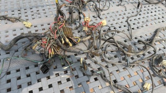 Harness6.jpg