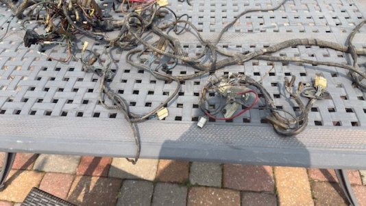 Harness7.jpg