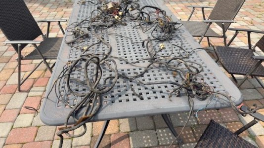 Harness17.jpg