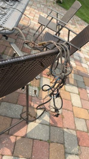 Harness16.jpg