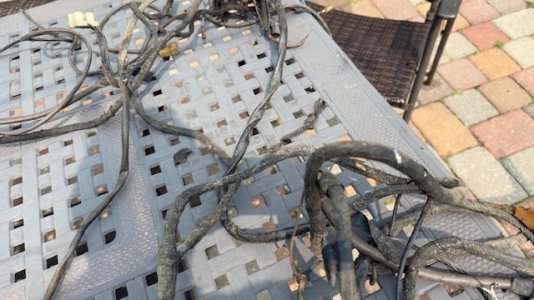 Harness12.jpg
