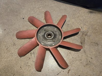 20250330-red fan-01.jpg