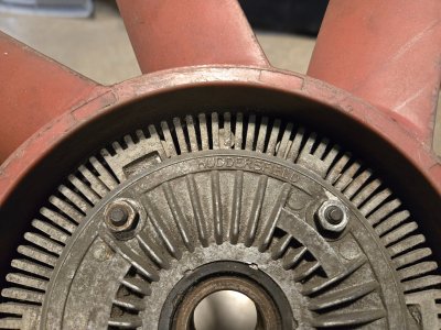 20250330-red fan-03.jpg
