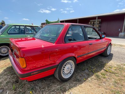 IMG_2812.jpeg