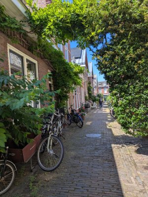Holland12.jpg
