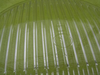 SV109816.JPG