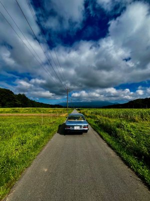 IMG_4495.jpeg