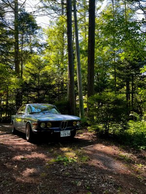 IMG_4508.jpeg