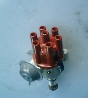 CIMG0011.JPG