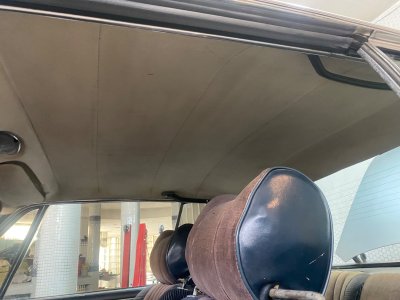 IMG_1959.jpeg