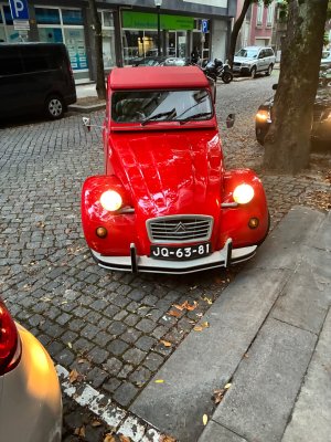 IMG_2389.jpeg