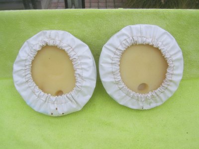 SV100317.JPG