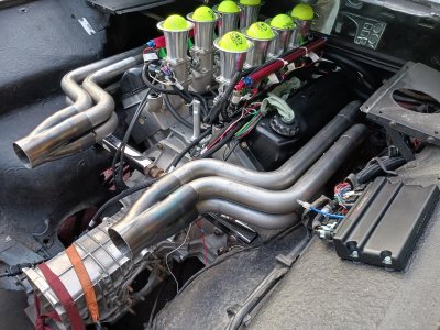 pantera01.jpg