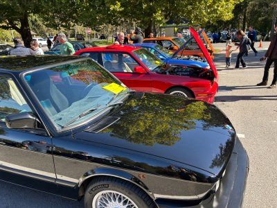 IMG_3680.jpeg