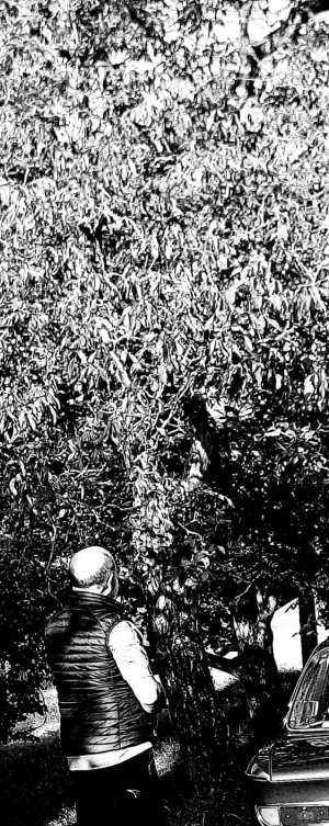 IMG_8286.jpeg