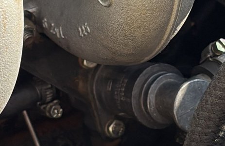 AAV close up.jpg