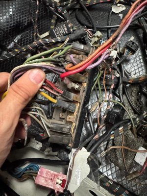 WhatsApp Image 2025-10-17 at 19.52.03 (4).jpeg