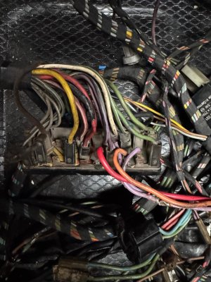 WhatsApp Image 2025-10-17 at 19.52.03.jpeg