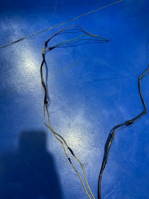 WhatsApp Image 2025-10-28 at 07.59.04 (2).jpeg