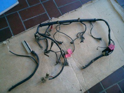 CIMG0173.JPG CIMG0173.JPG