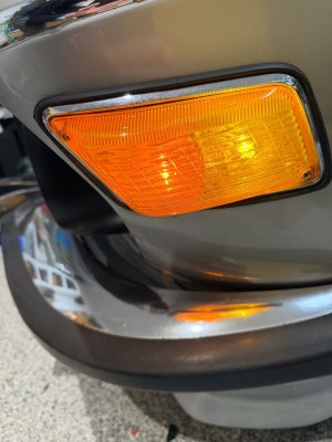 IMG_6951.jpeg IMG_6951.jpeg