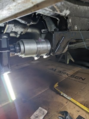 PXL_20251105_205822520 (1).jpg