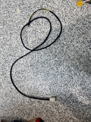 IMG_7206.jpeg IMG_7206.jpeg