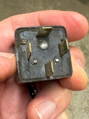 Wehrle downside.jpeg