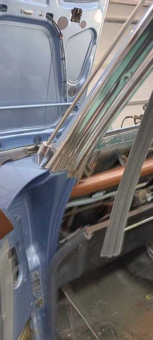 WhatsApp Image 2026-01-29 2.jpeg