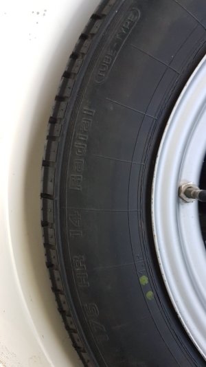 20210218_122417 (1).jpg