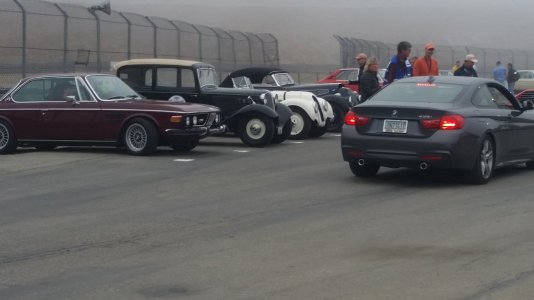 Monterey Adventure 464.jpg