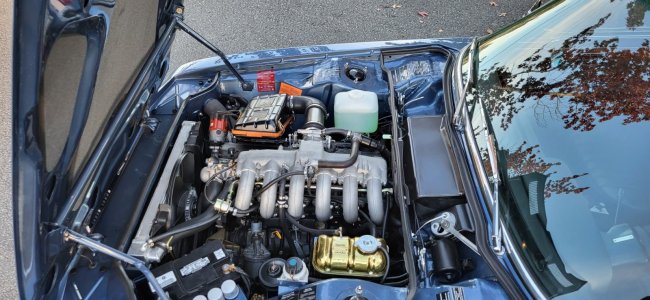 20231001_180149 (Large).jpg