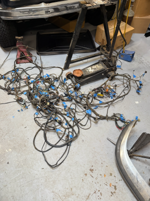 Screenshot 2026-03-11 at 5.47.59 PM.png