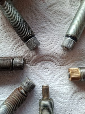 20260321_130245.jpg 20260321_130245.jpg