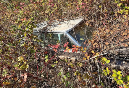 Screenshot 2026-03-31 at 7.45.09 PM.png