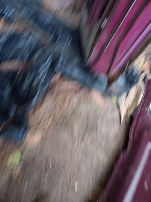 20251031_131444.jpg