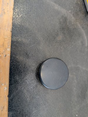 PXL_20260619_172852840.jpg