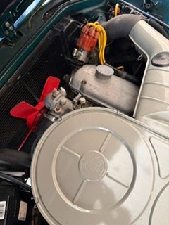 IMG_1320.jpeg