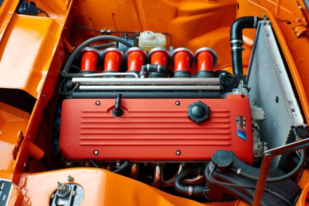 Outlaw E917313.jpg
