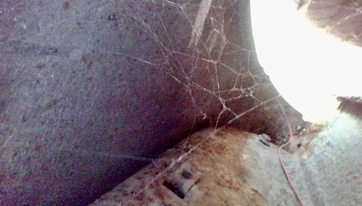 View of inner LF fender from top.jpg View of inner LF fender from top.jpg