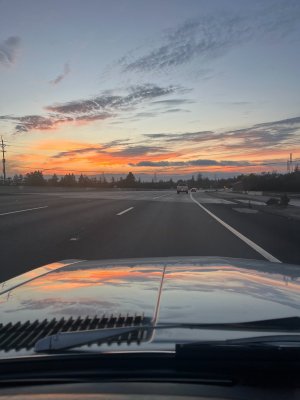IMG_4316.jpeg