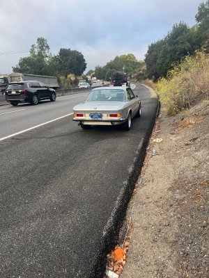 IMG_4318.jpeg