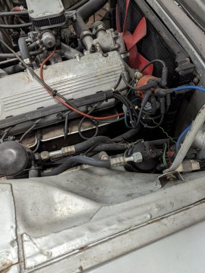 PXL_20240406_175325151.jpg