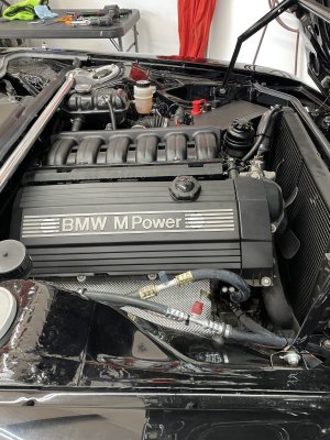 IMG_2010.jpeg