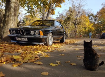 20211029_195834.jpg