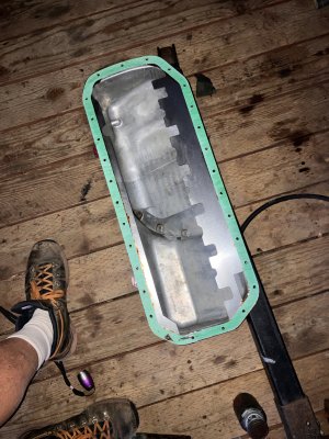 IMG_8074.jpeg