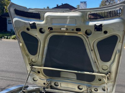 Hood interior.jpg